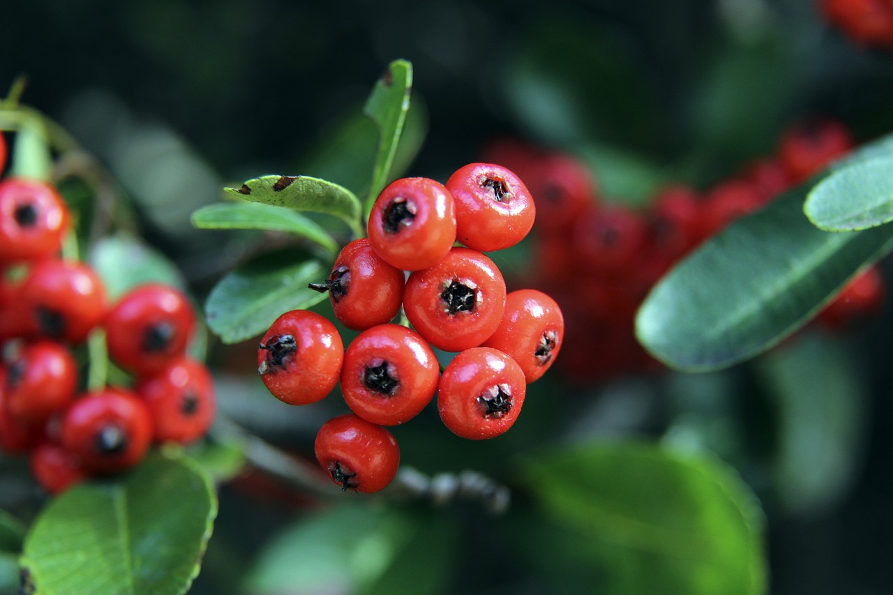 由于资源有 由于资源有