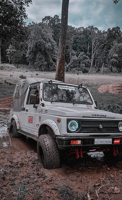 全面的发展 全面的发展