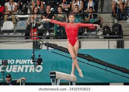 佩德里这样 佩德里这样