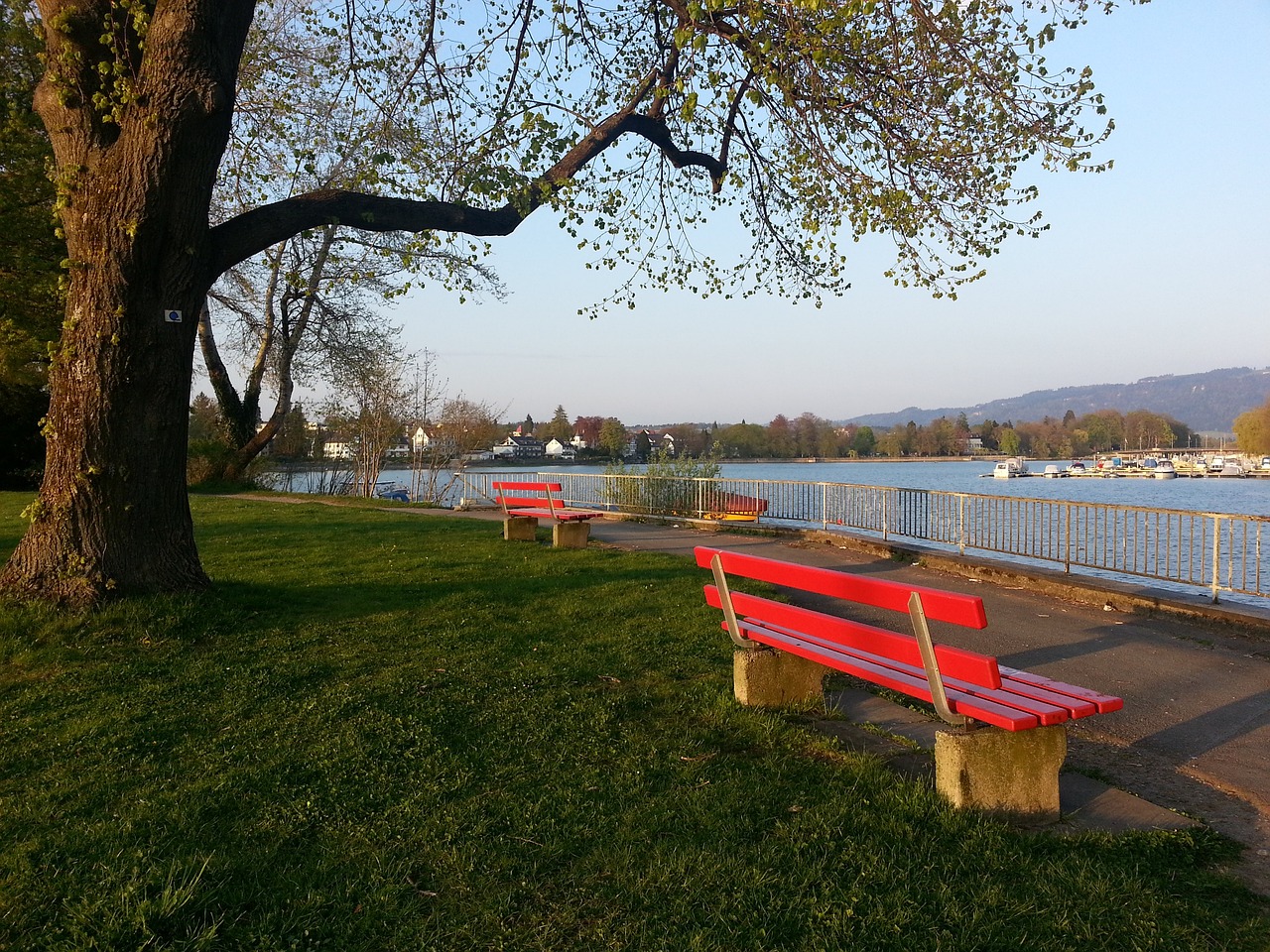 盟中逐渐崭 盟中逐渐崭