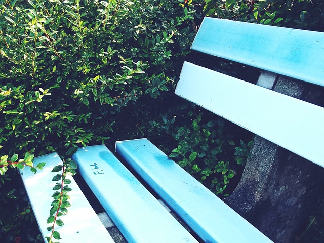 群体对体育 群体对体育