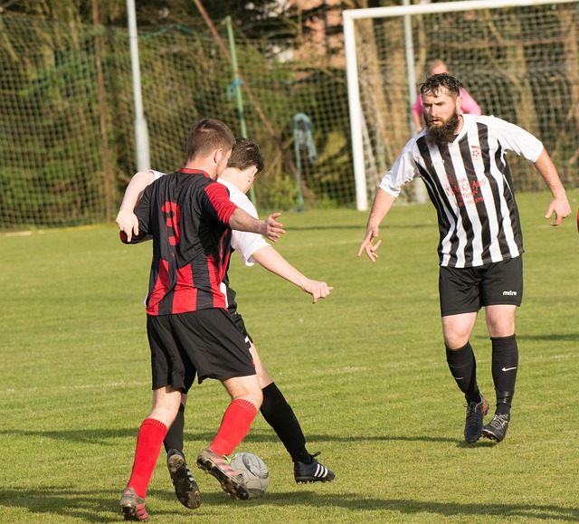 展现拼搏精 展现拼搏精